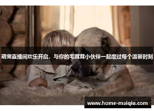 萌宠直播间欢乐开启，与你的毛茸茸小伙伴一起度过每个温馨时刻